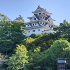 郡上八幡城です。