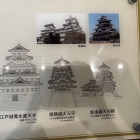 圧巻のデカさ