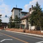 池の側松並木