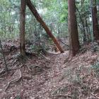 北曲輪群北端の虎口
