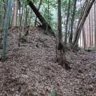 本丸南東隅の櫓台