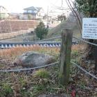 居屋敷の礎石と玉石