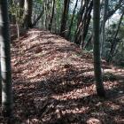 副郭北辺の土塁