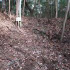 北登城道の枡形虎口