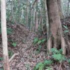 北曲輪群西辺の虎口