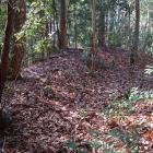 西尾根の土塁（武者隠し）
