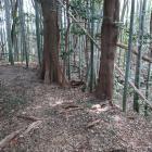 主郭北辺の土塁