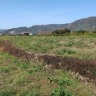 南辺の土塁と堀跡