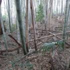 三重の横堀と土塁