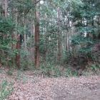 北曲輪群と本丸間の堀切