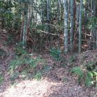 登城口（土塁の切れ目）