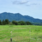 林檎畑だったそうです。