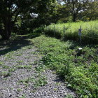お供山の三角点