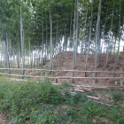 土塁