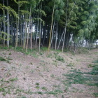土塁