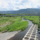 姉川
