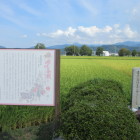 遠藤直経の墓