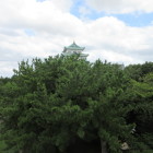 西南隅櫓から天守を望む