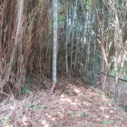 光明寺　土塁
