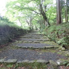 参道