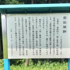 主郭パネル