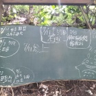 黒板