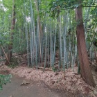 土塁