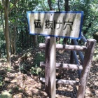 伝抜け穴