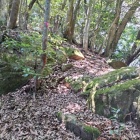こんな登城道が続く&hellip;