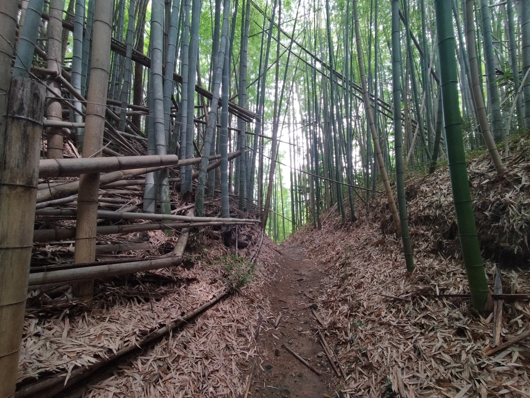 主郭の姫山神社と東の郭間の堀切