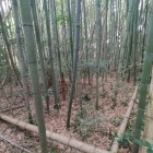 東の郭