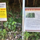 登城口案内パネル