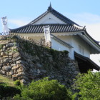 同左より望遠１２倍を活かし撮影