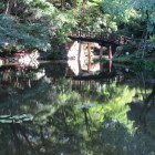 日本庭園の池と擬宝珠橋