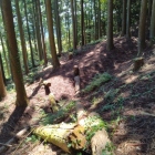 北側郭の三重土塁