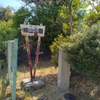 東側