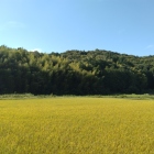 東側から