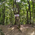 別所山砦と行市山砦の中間地点