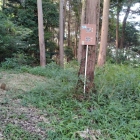 馬出