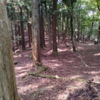 玄蕃尾城へと続く尾根道