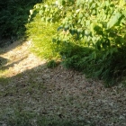 墓所の裏手の堀跡