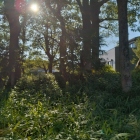 城址碑とうしろの土塁