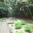 博物館側入口平場