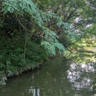 水堀跡