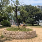 公園内部