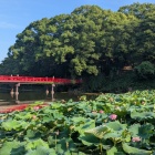 赤い橋