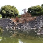 ⑤	南側の宮前橋右側石垣（崩落）