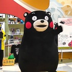 ⑧	活動再開したくまモン（負けんモン熊本！）