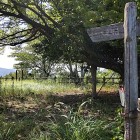 ③	山頂の主郭（ここから周防灘が一望です）