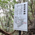 ⑤	登山道にあった畝状竪堀説明